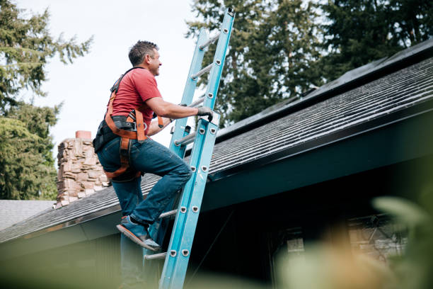 Best Skylight Installation and Repair  in Sterling, KS